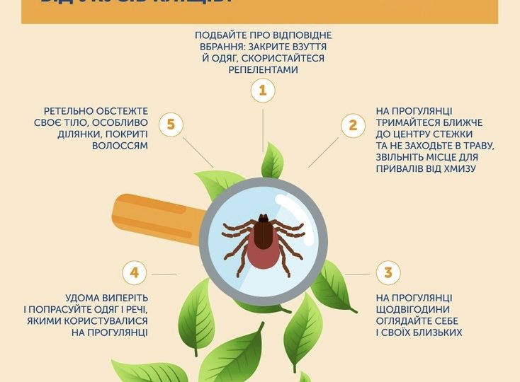 УКУСИ КЛІЩІВ. Перша допомога